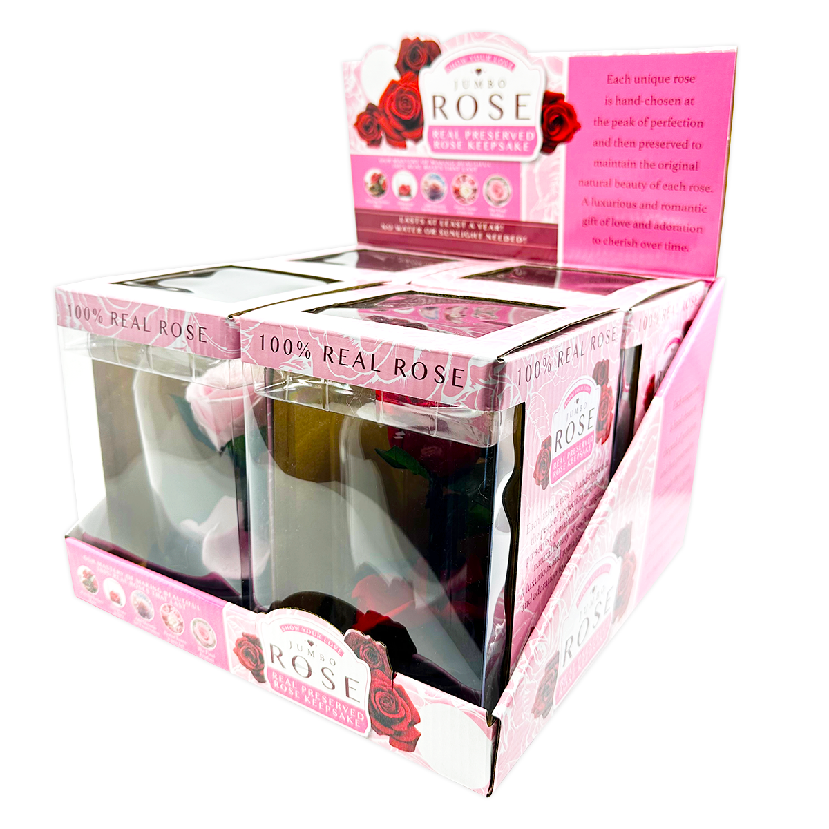 Novelty Brands - Wholesale Retailer Display - Home & Living - Real JUMBO Preserved Rose Keepsake Glass Gift - 4/Display1