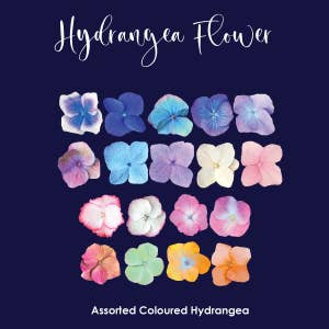 Hortensias de oblea comestible. Paquete de 100 hortensias de colores mezclados para venta al por mayor de Crystal Candy Unique Cake Decorations