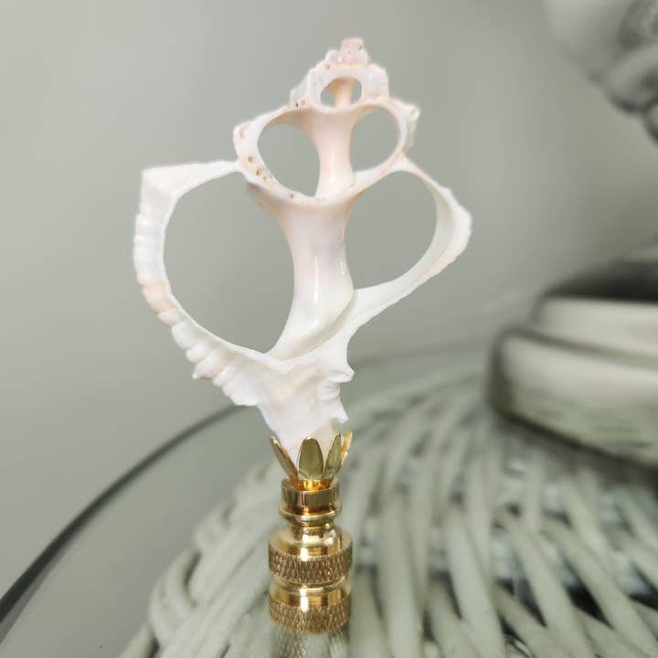 White Tulip Boutique - Wholesale Decorative Tabletop Object - Sliced Sea Shell Lamp Finial, Medium1