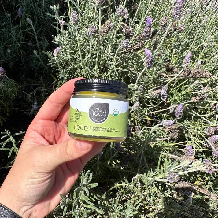 All Good Body Care - Wholesale Healing Salve/Balm/Cream - All Good Goop Healing & Recovery Balm — 2oz