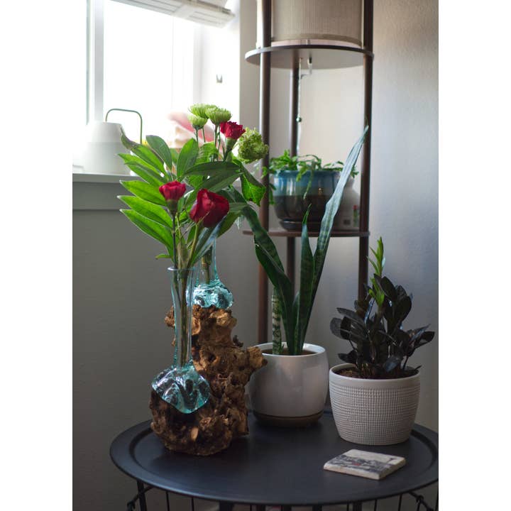 Cohasset Gifts - Wholesale Vaas - Dubbele hoge magere vaas op gamalwortel3