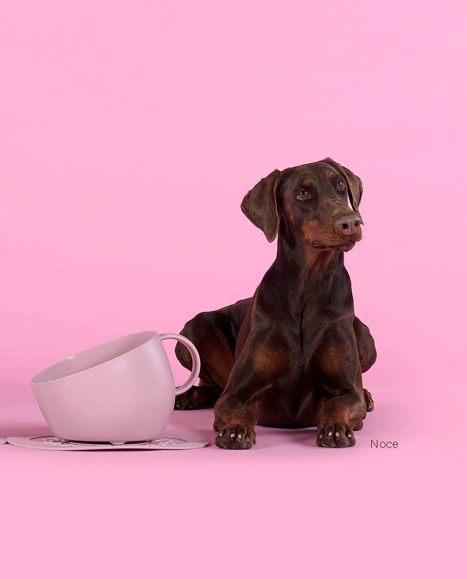 United Pets - Wholesale Pet Bowl - Cat/Dog - Eco-friendly anti-splash tall bowl for food and water4