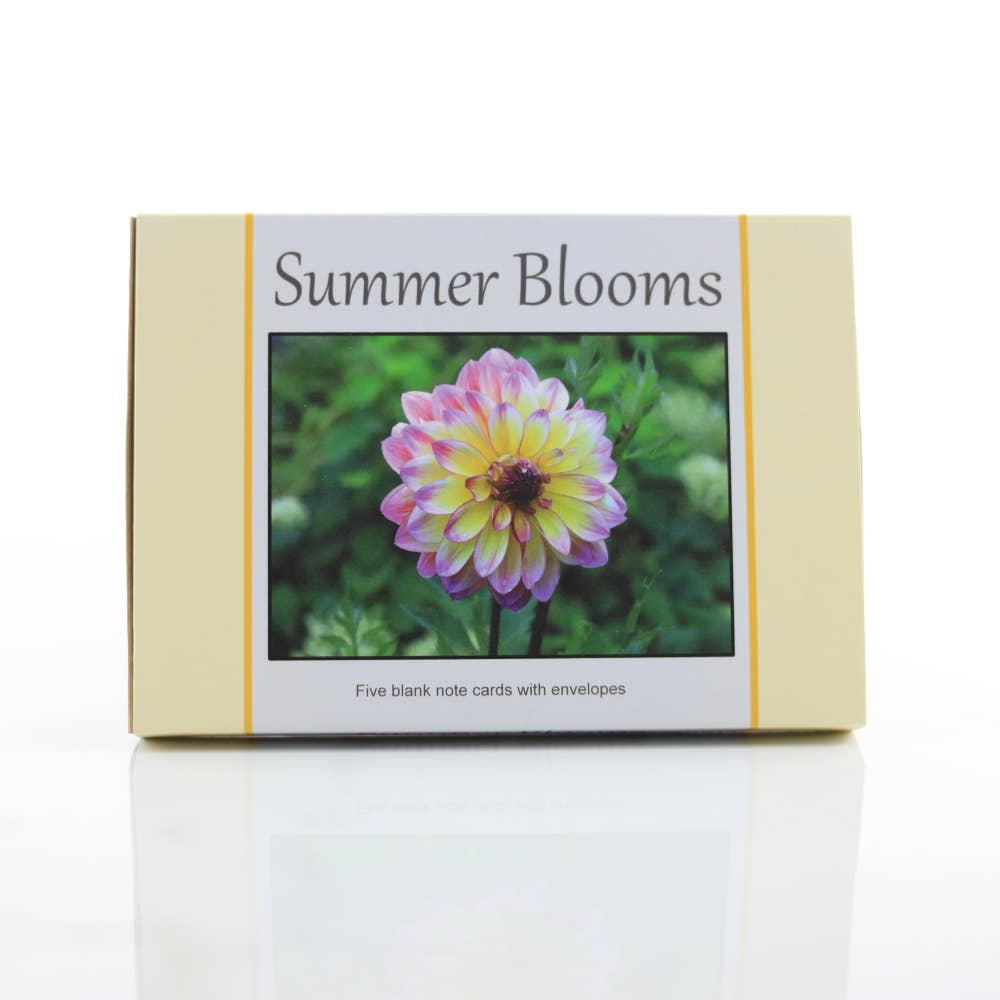 New England Prints - Wholesale Stationery/Notecard Set - Box of 5 All Occasion Summer Bloom Blank Note Cards3