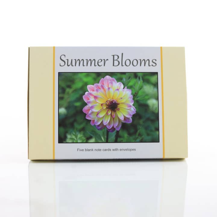 New England Prints - Wholesale Stationery/Notecard Set - Box of 5 All Occasion Summer Bloom Blank Note Cards3