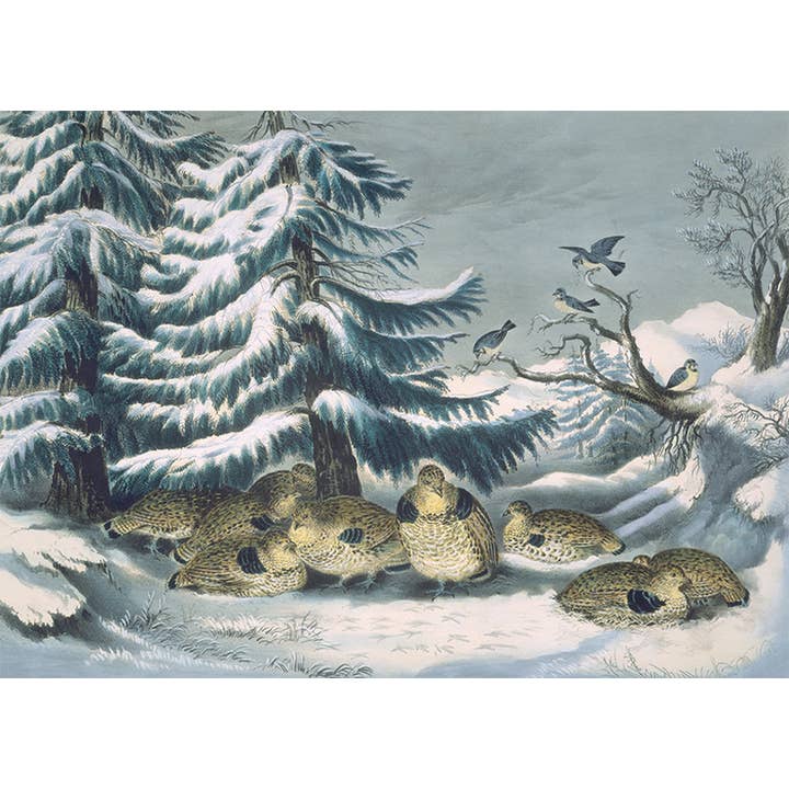 NMX18 - Currier And Ives, Snowed Up, Ruffled Grouse for wholesale by Nelson Line