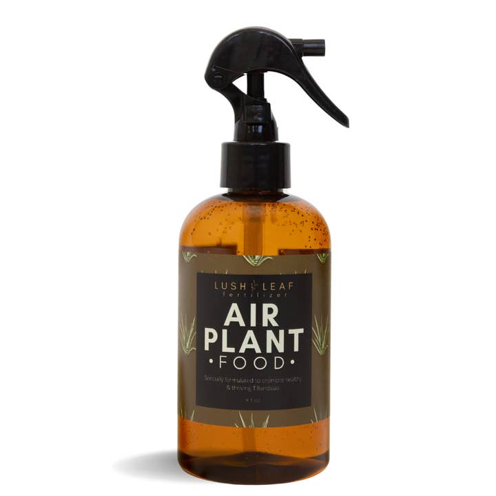 Air Plant Food for wholesale by Lush Leaf