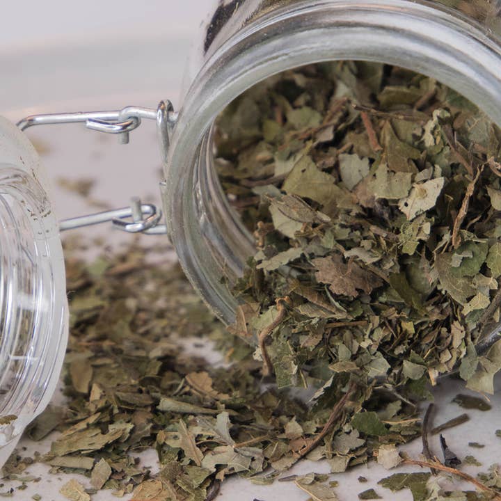 Mystical Roots - Wholesale Herbs - Herb Jar - Sassafras Leaf