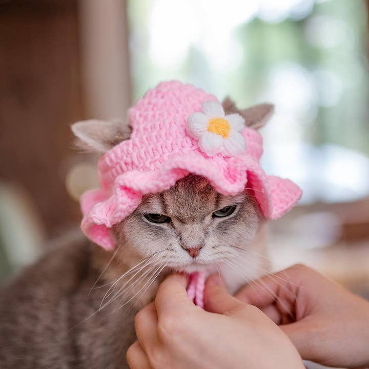 Cheerhunting - Wholesale Pet Hat - Dog - Ozzie - Cute Pet Hat for Small Animals