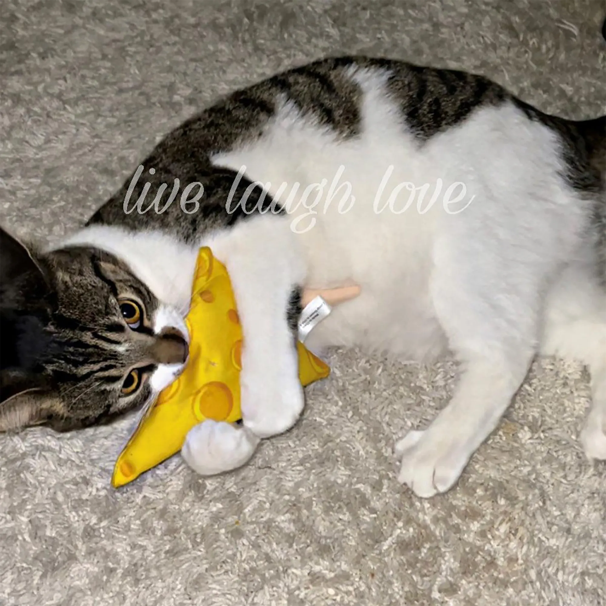 SmarterPaw | Meowijuana & Doggijuana – wholesale Pet toy – Cat – Meowijuana® Get Cheezy Cheese & Mouse Refillable Cat Toy5