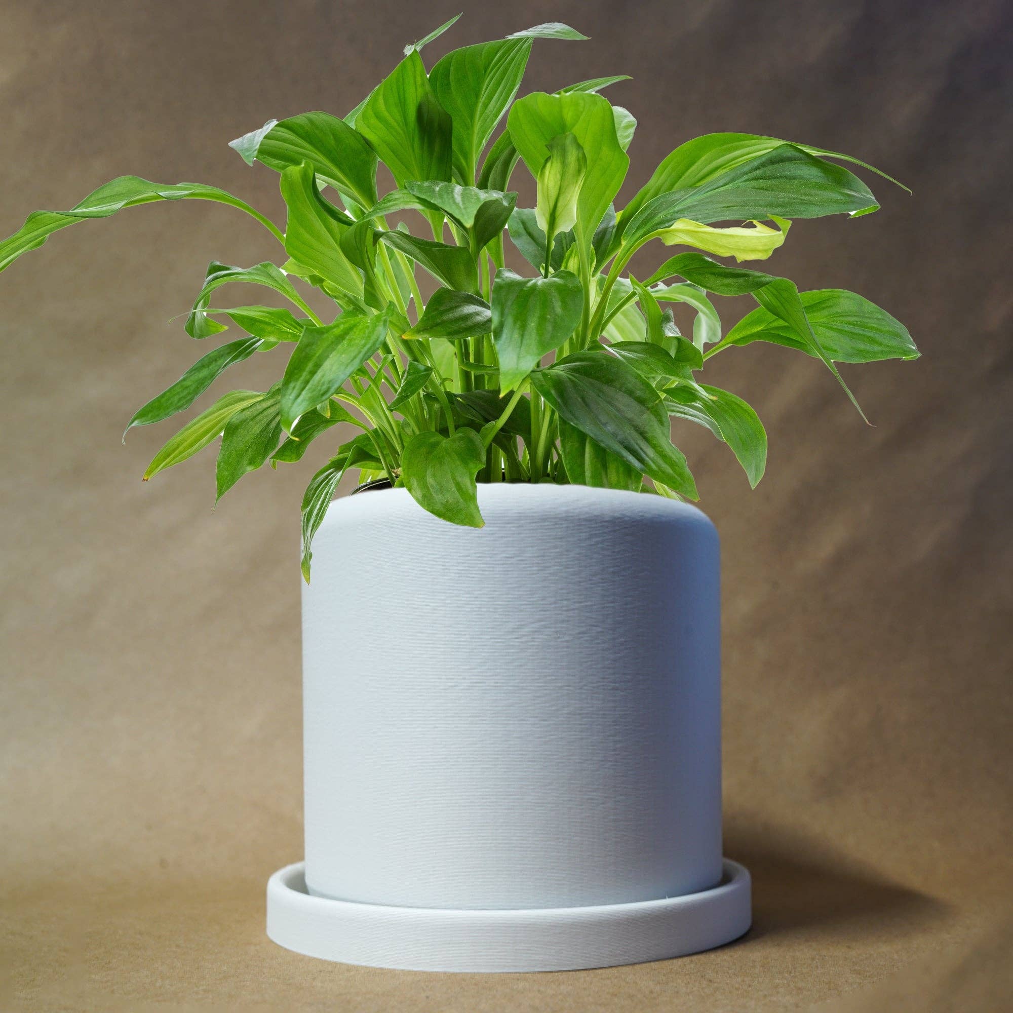 Rosebud Homegoods - Wholesale Plant Pot - Round Planter6