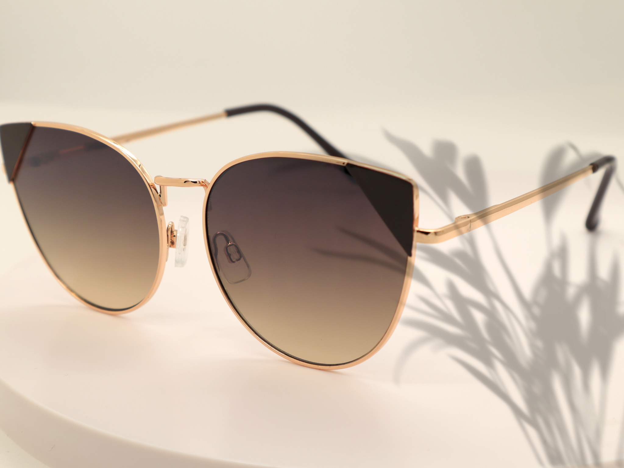 Autoservicioptico SL – Engroshandel Solbriller - Dame – Solbriller til kvinder med vintage cat eye stel8