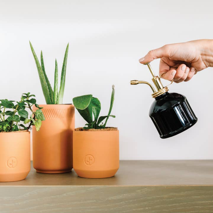 Modern Sprout - Wholesale Plant Mister - Plant Mister