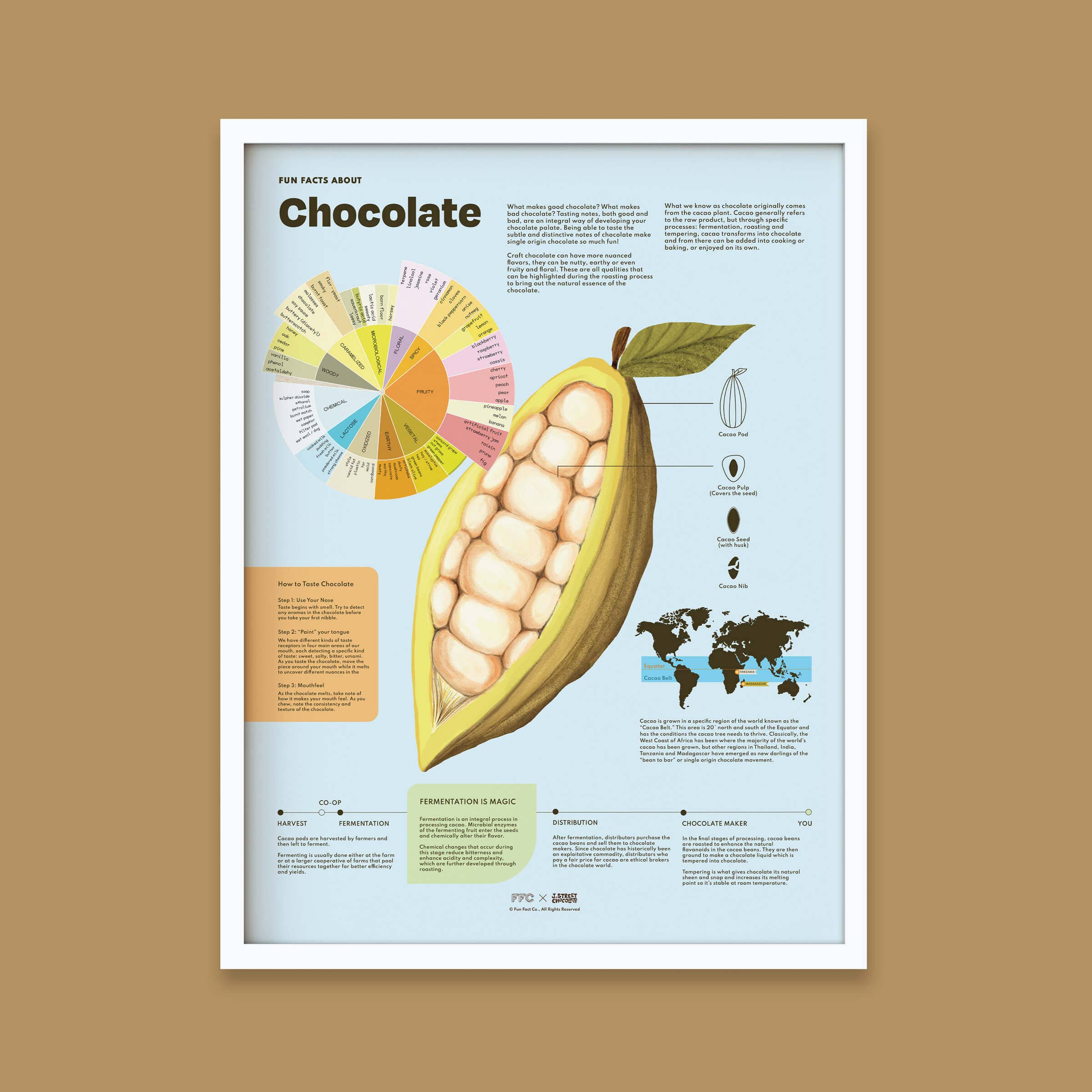 Fun Fact Co. - Wholesale Art Print - Chocolate Fun Facts Print3