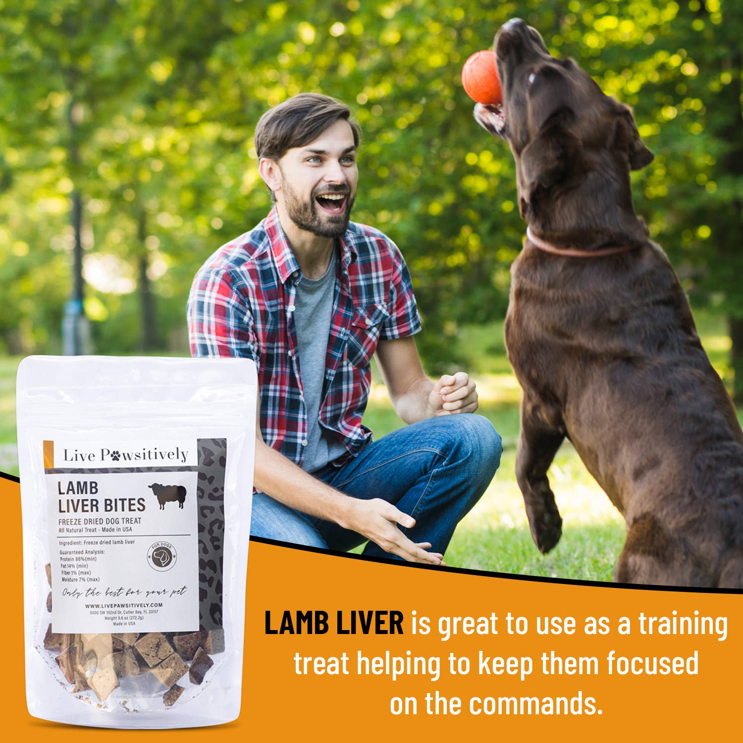 Live Pawsitive - Wholesale Pet Treats - Dog - Lamb Liver Bites3