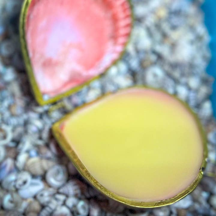 Mandala Gems - Wholesale Solid Perfume - CREATRIX Solid Perfume, Botanical Natural Perfume in A Seashell Compact6