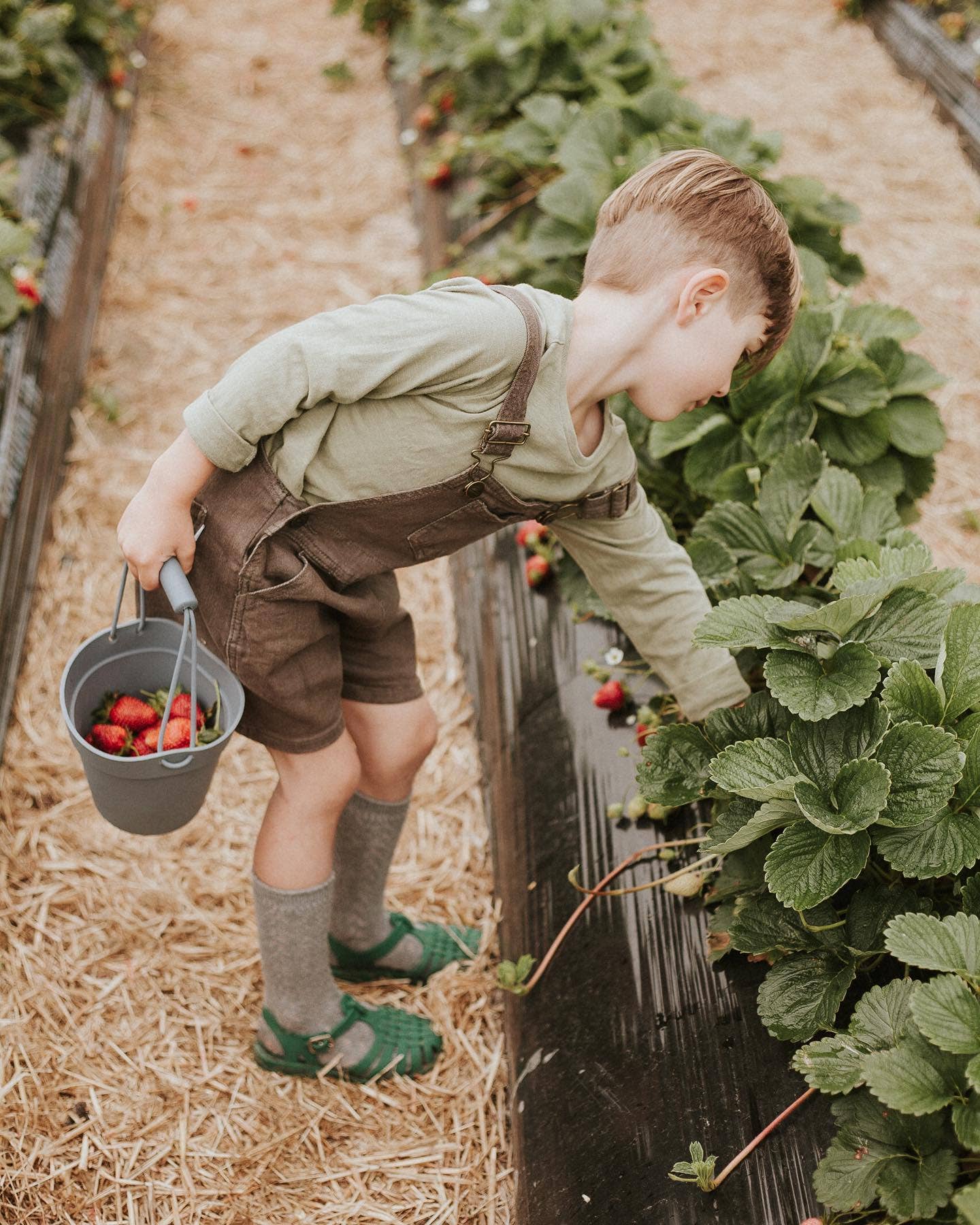 Classical Child - Wholesale Beach/Pool Toy - Kids & Baby - Water & Mud Play Bucket & Toys Set - Blue Bear6