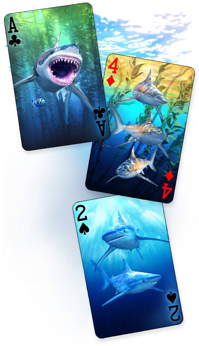 Cards, Shark, 3D