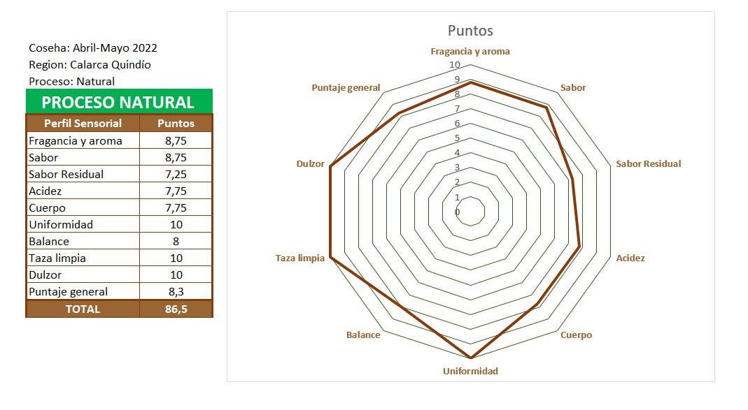 Café Las Margaritas - Wholesale Coffee Beans - Specialty Coffee 4x250g Honey & 4x250g Natural GRAIN7