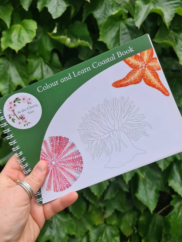 Color y Aprende - Fauna Costera para venta al por mayor de At the Cherry Tree