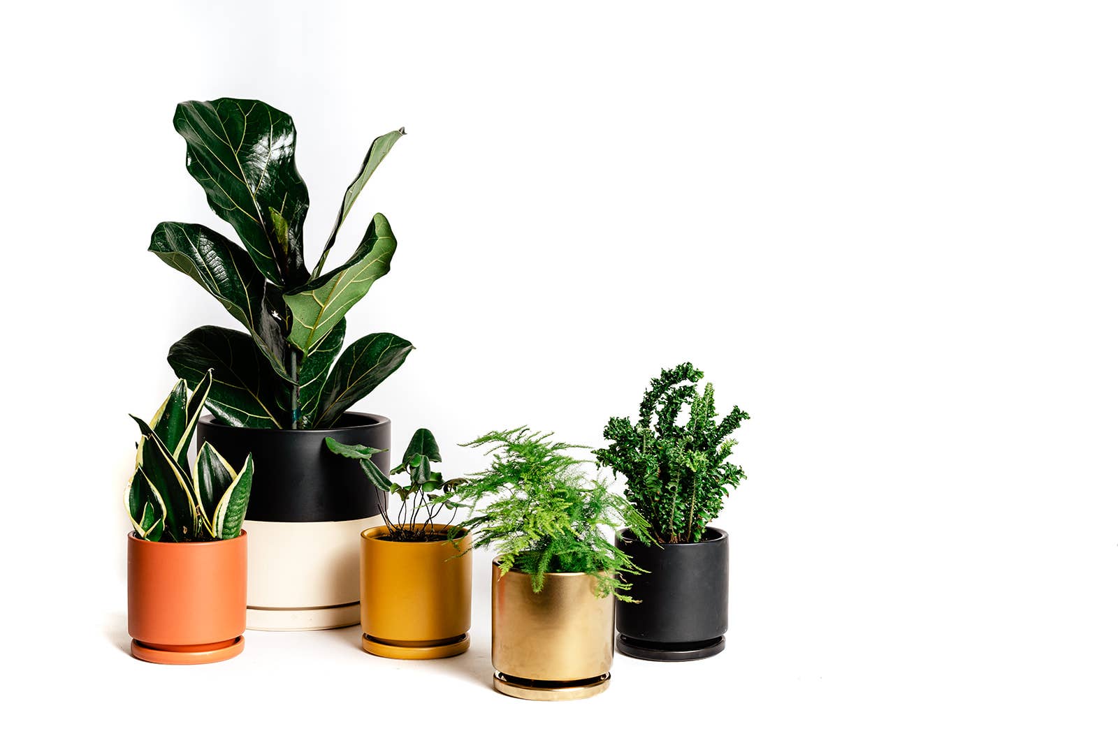 Momma Pots - Wholesale Plant Pot - 8.5" Gemstone Cylinder Pots with Water Saucers25