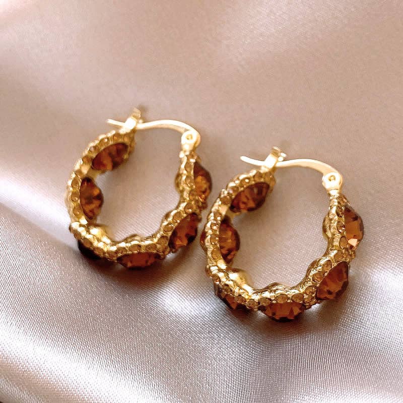 Coffee Crystal Circle Elegant Hoop Earrings DPJE1706 for wholesale on Faire3
