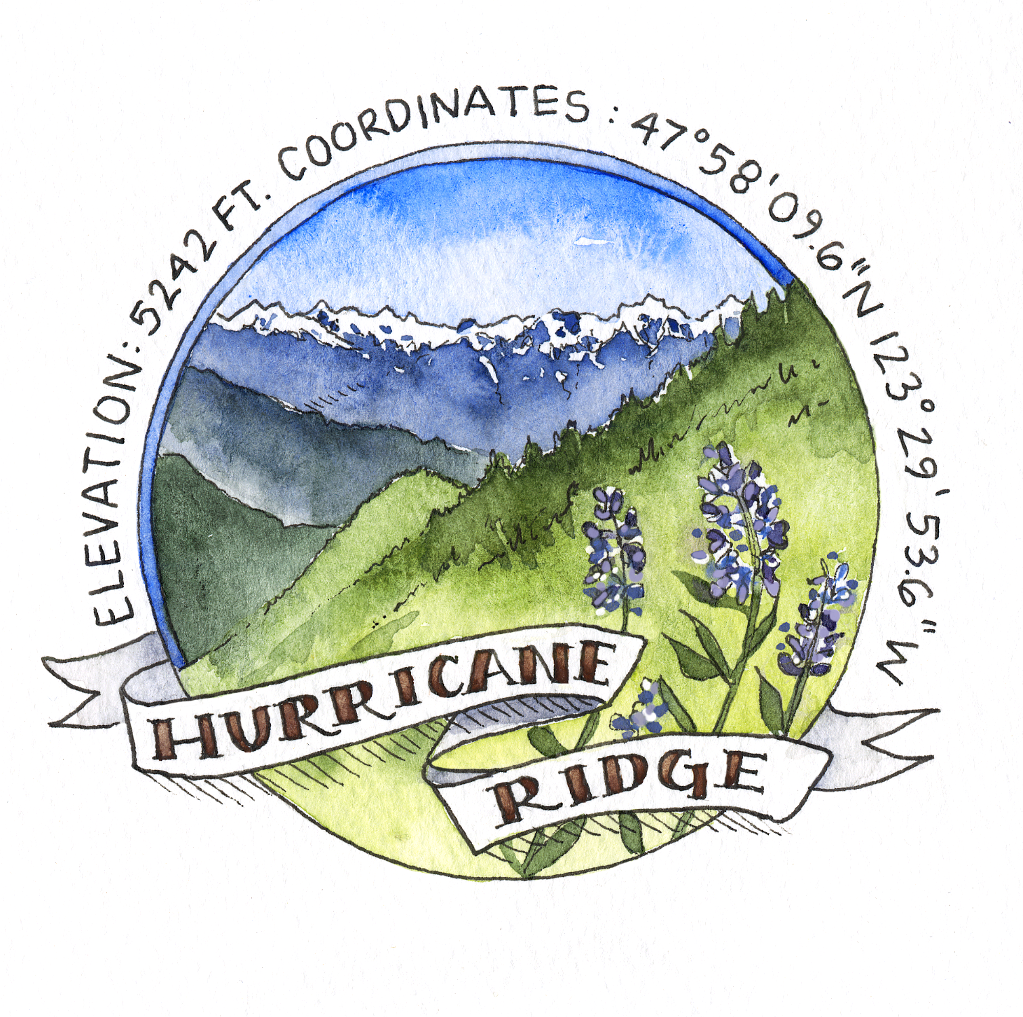 Northwest Sparks - Venta al por mayor Velas en tarros - Hurricane Ridge4