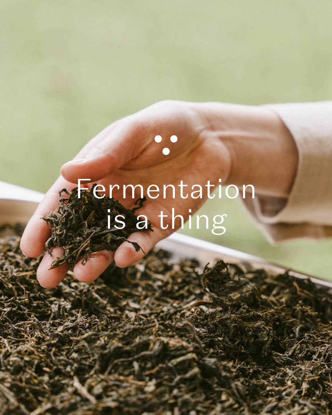 Plūkt - Wholesale Health/detox tea - Nordic Black Tea - decaf, energy-boost, organic, herbal tea1