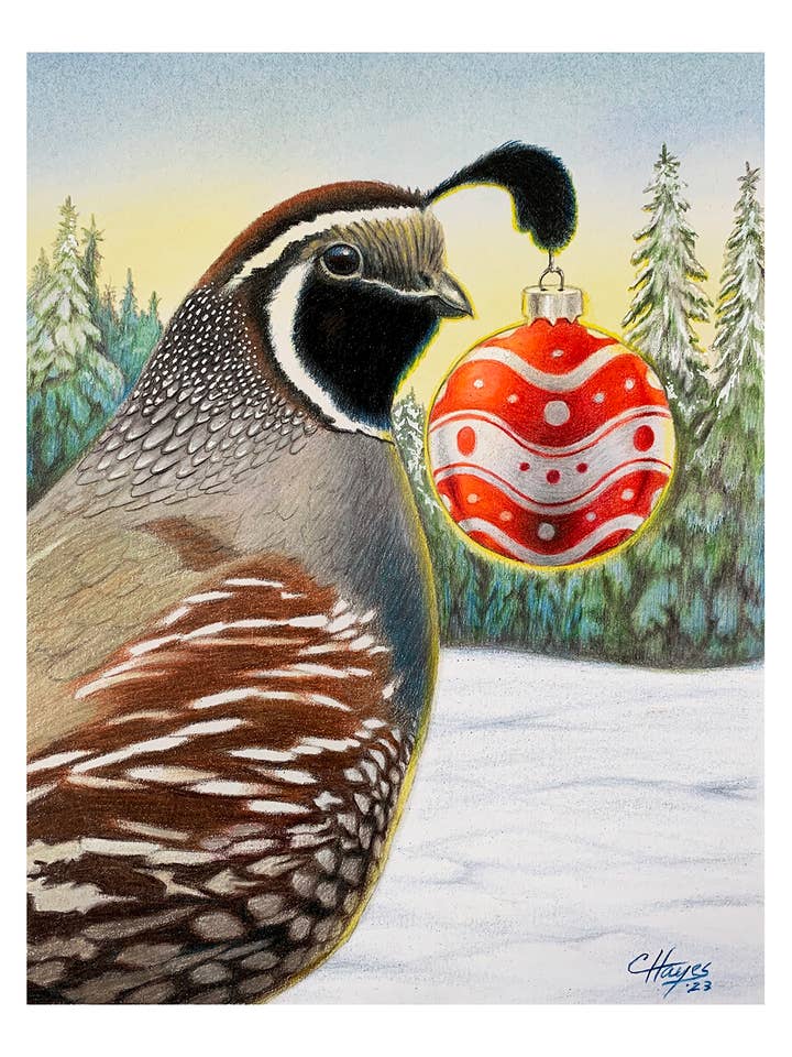 Julekort, æske med 8: Julevagtel for engroshandel hos Colin Hayes Art