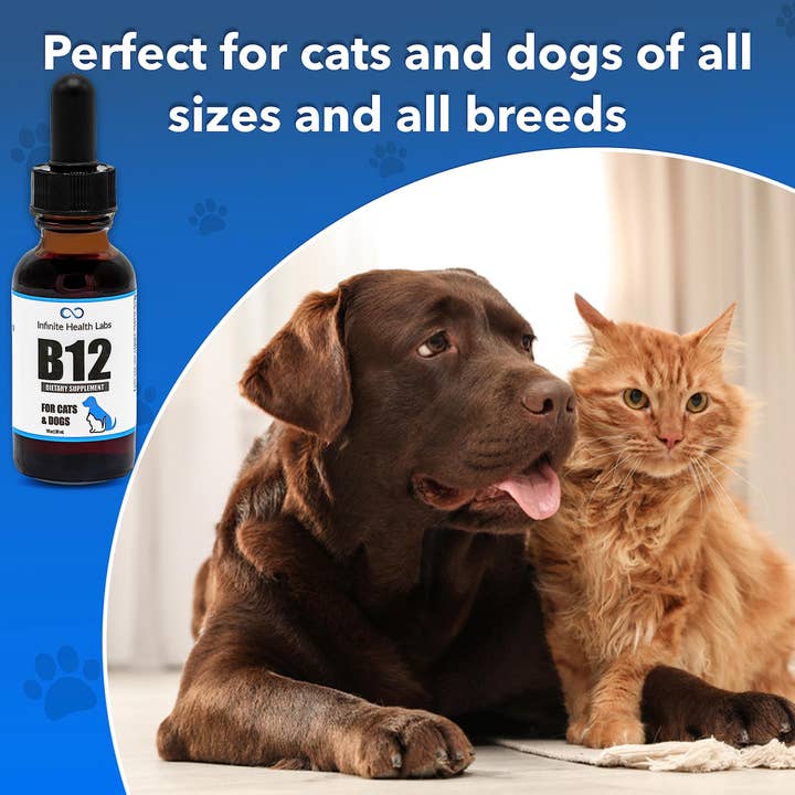 Infinite Health Labs, LLC - Vente Compléments alimentaires – chat et chien - Vitamine B-12 liquide pour chiens et chats10