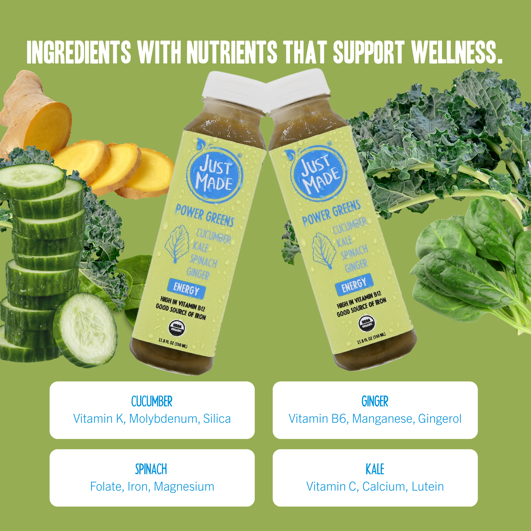 Just Made Foods - Wholesale Wellness Juice/Tonic - Power Greens1