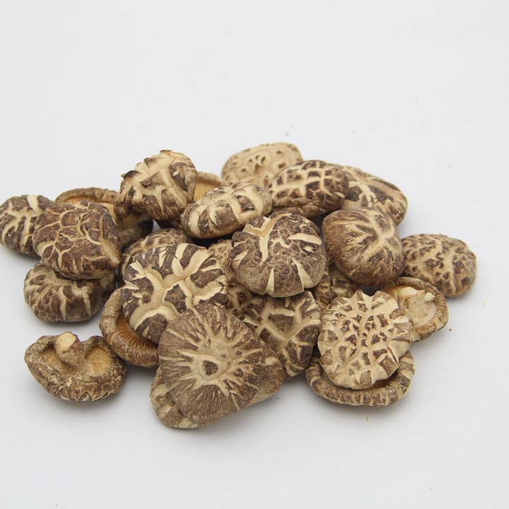 Vegan Vitality - Wholesale Oral Supplement/Vitamin - Super Mushroom Complex: A Formula Of 6 Powerful Mushrooms5