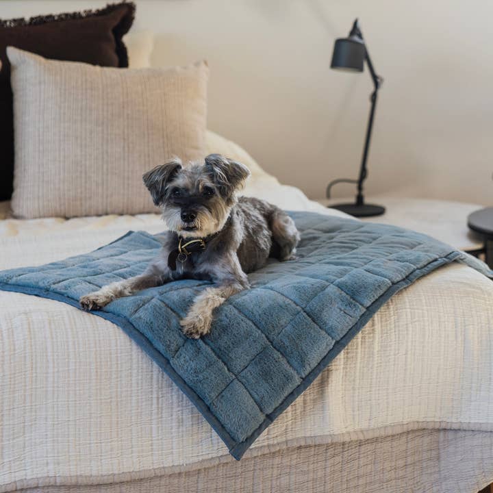 NomadNap - Travel & Portable Dog Bed for wholesale by KindTail