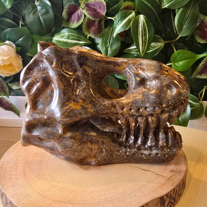 Teschio di T-Rex in diaspro - 1,98 kg - 17 cm x 12 cm x 11 cm per la vendita all'ingrosso da parte di Crystal Cove Minerals