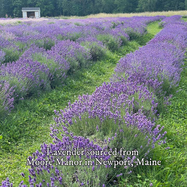 Virgo Moon - Wholesale Lozenges/Cough Drops - Lavender Honey Lozenges (Bulk)2