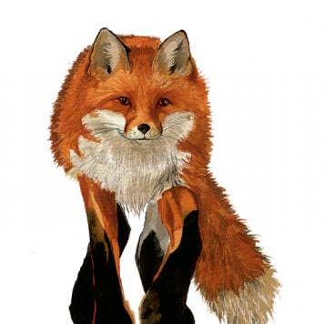 Impresión de edición limitada Wily para venta al por mayor de Mary Ann Rogers Gallery