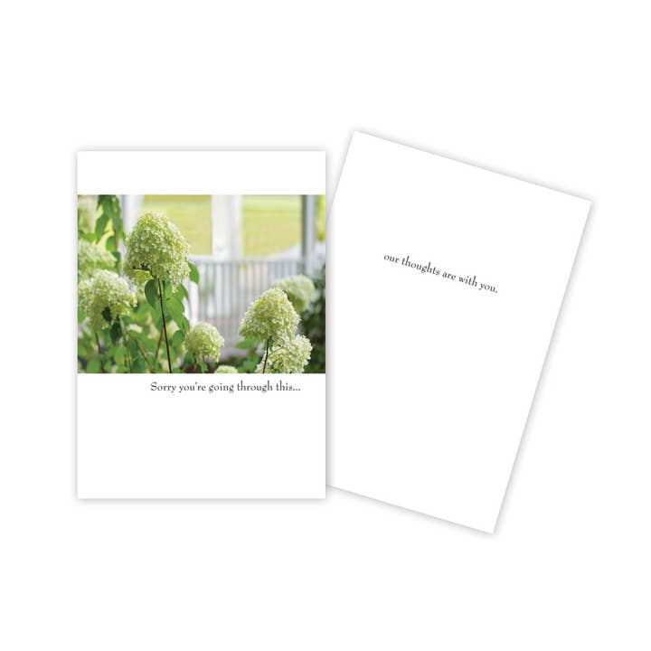 Hydrangeas Comfort Card for engroshandel hos Sun Day Greetings