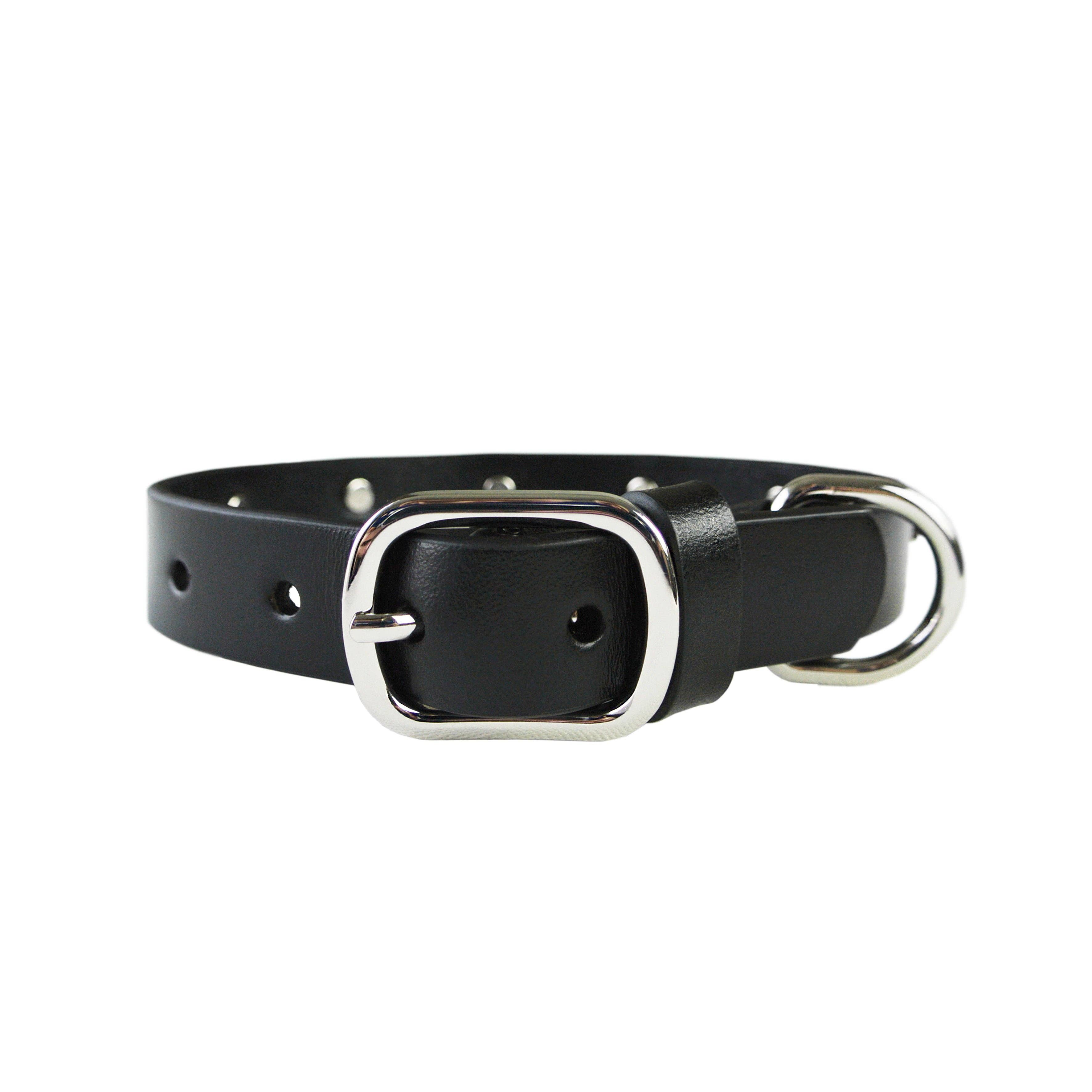 eye of dog - Wholesale Pet Collar - Dog - Lightning Bolt Collar5