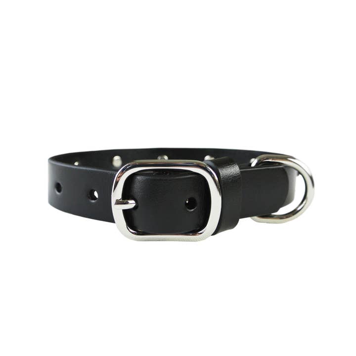 eye of dog - Wholesale Pet Collar - Dog - Lightning Bolt Collar5