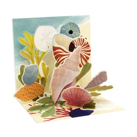 Up With Paper - Wholesale Everyday Greeting Card - Ocean Shells Mini Pop-Up Card