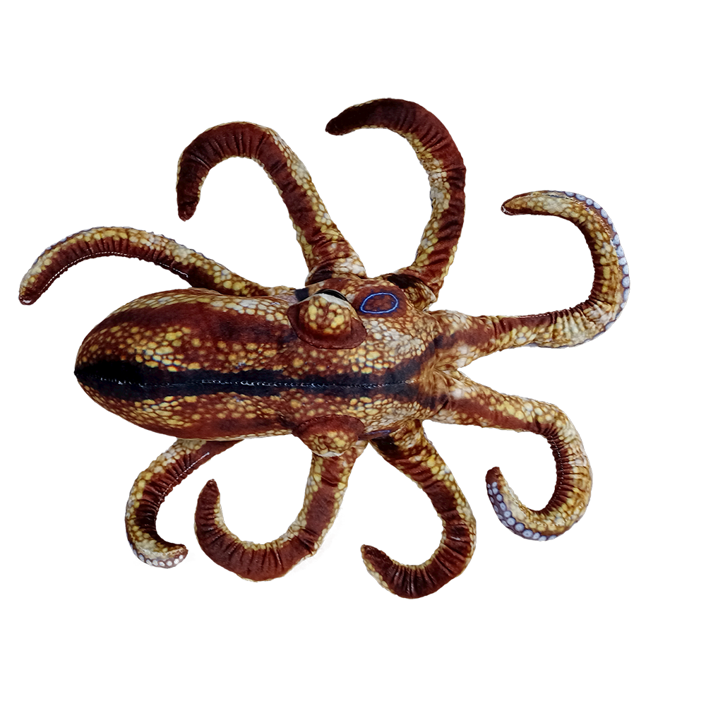 Texas Toy Distribution - Vendita all'ingrosso Peluche - Bambini e neonati - Peluche Octopus Aquatic Ocean da 25,4 cm2