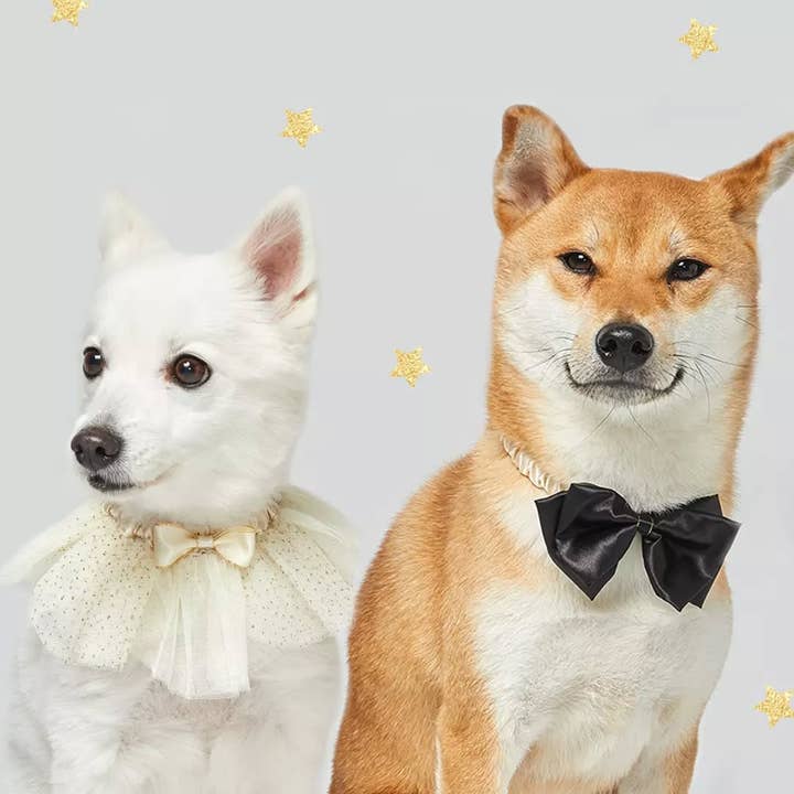 Dog of Honor Wedding Princess Lace Dog Collar for wholesale by Blueberry Pet