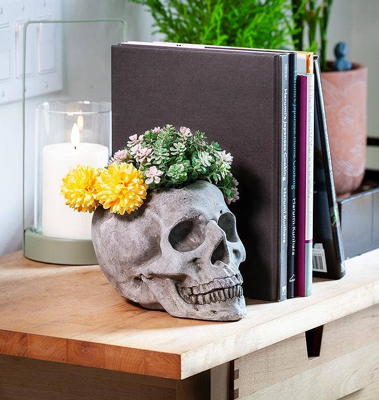 Abbott – Engroshandel Plantekrukke – Lg Skull Planter-5"H-9709