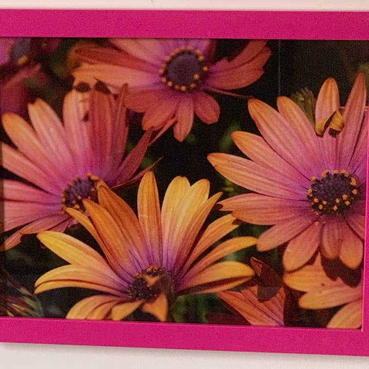 Sparkle - pink framed wall print for wholesale by Analogy Designs