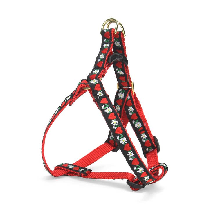 Pettorina per cani di taglia piccola con cuori per la vendita all'ingrosso da parte di Up Country, Inc.