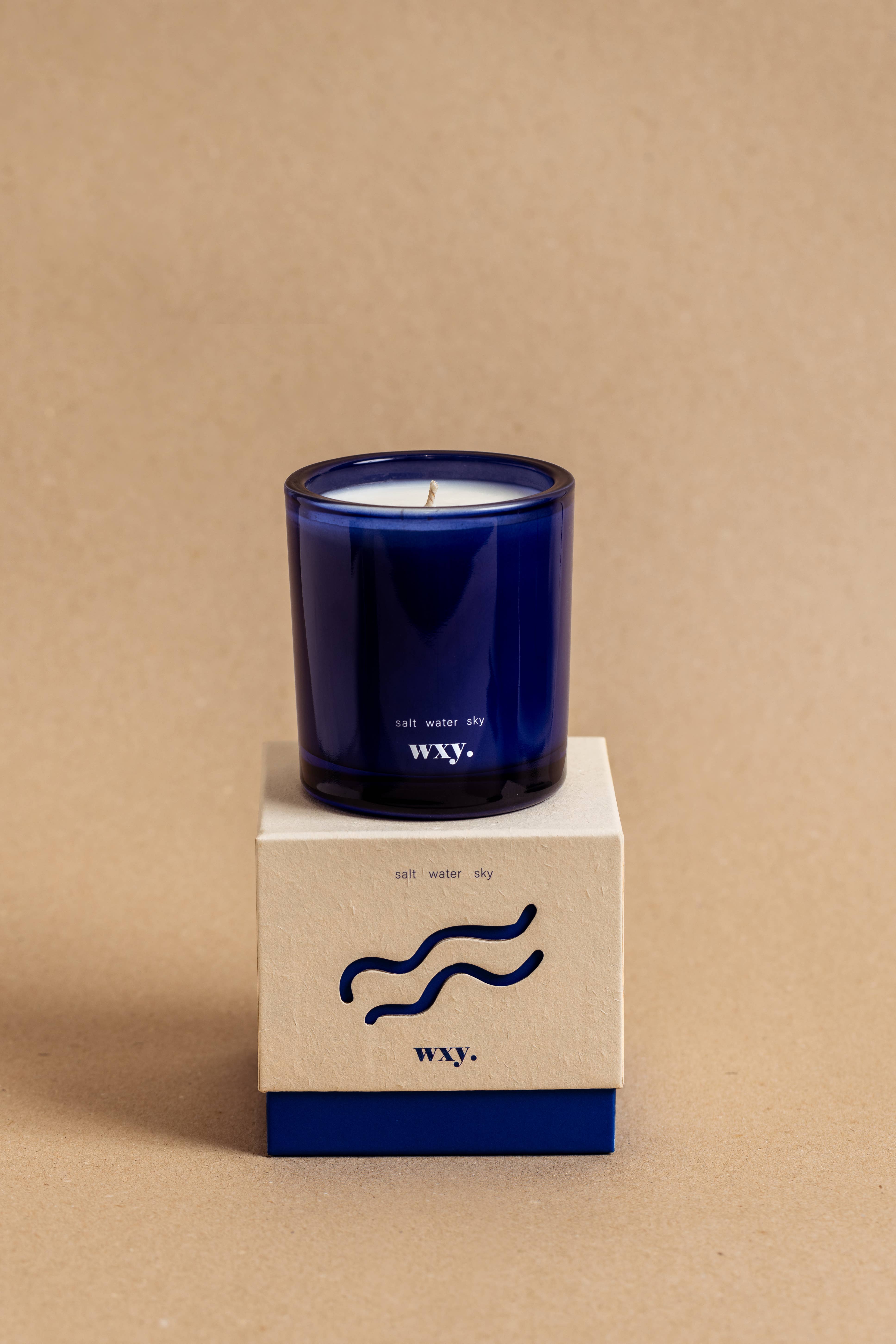 wxy. - Wholesale Jar/Filled Candle - Roam mini. - 5.2oz candle - salt. water. sky.