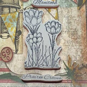 Coleção Providence - Manitoba por atacado de Emerald Creek Craft Supplies