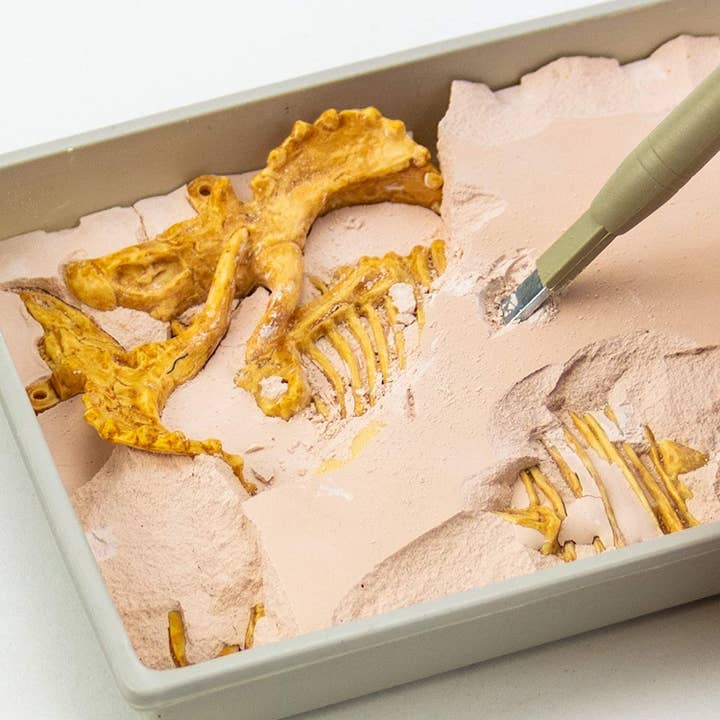 Science4you - Wholesale Toy Set - Kids - Triceratops Fossil Excavation - Toy for Kids (8 languages)