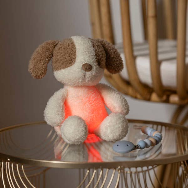 Hippychick – wholesale Night light – Child & baby – Nattou Mini Cuddly Dog Nightlight Teddy Vanilla3