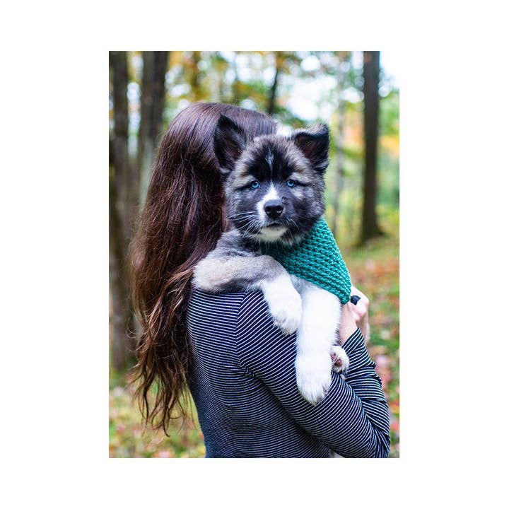 Tarjeta de felicitación Bandit The Husky Puppy para venta al por mayor de The Dogist