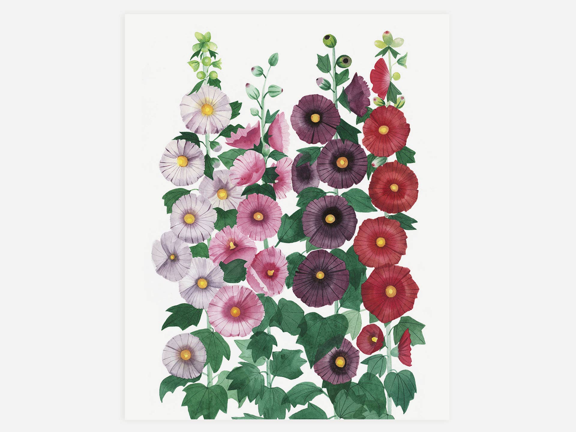 May We Fly - Vente Affiche d'art - Impression d'art hollyhocks2